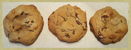 Chewy Chocolate Chip Cookies