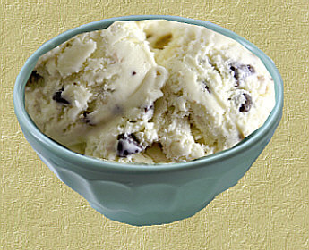 Chocolate Chip Ice Cream