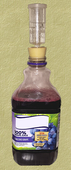 Concord Grape Wine