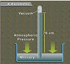 Dabbling in Science