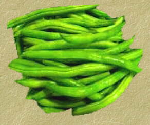 Green Bean Processing