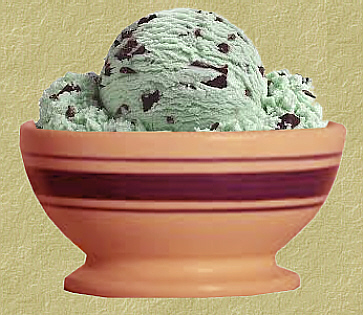 Mint Chocolate Chip Ice Cream