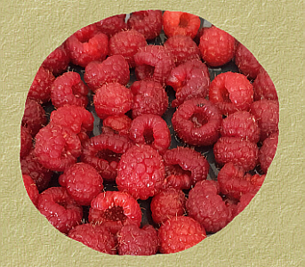 Red Raspberries