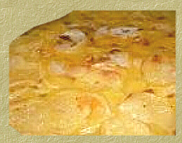 Scalloped Potatoes with Onions