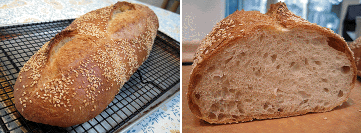 Sesame Semolina Batard