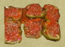 Stuffed Green Peppers